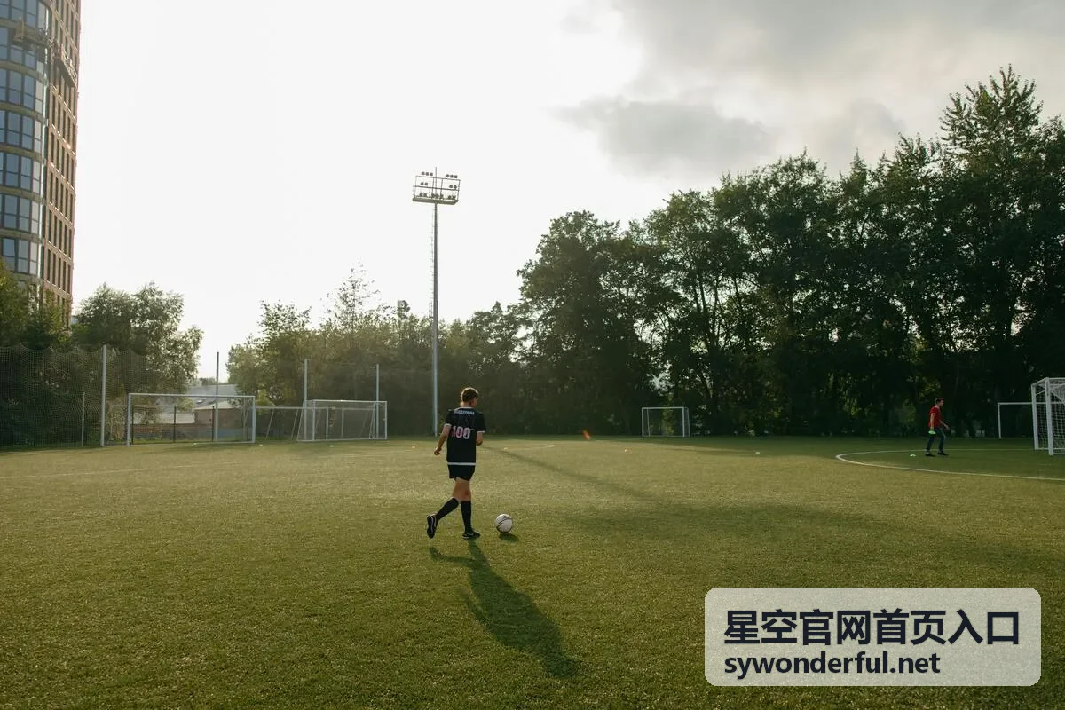 星空官网首页入口安全提示封面