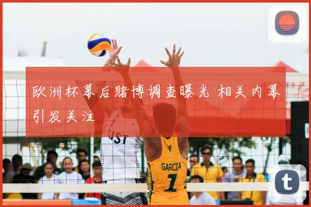 欧洲杯幕后赌博调查曝光 相关内幕引发关注