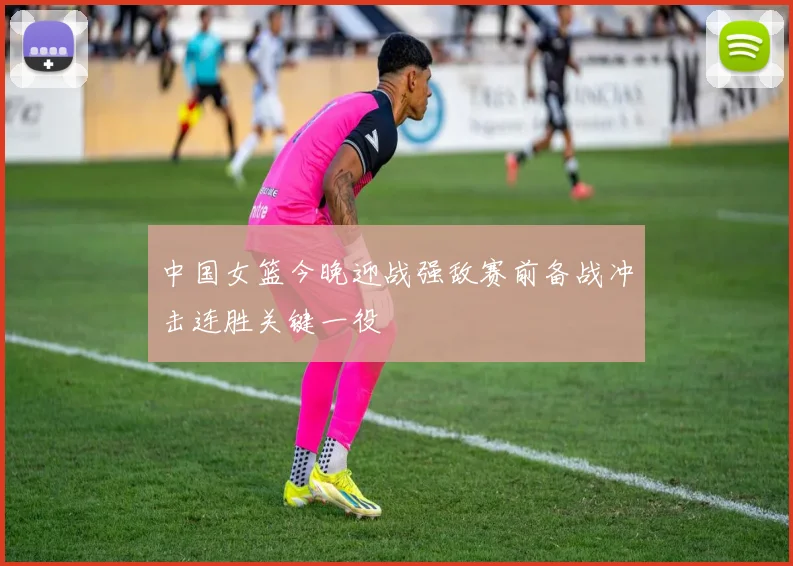 中国女篮今晚迎战强敌赛前备战冲击连胜关键一役